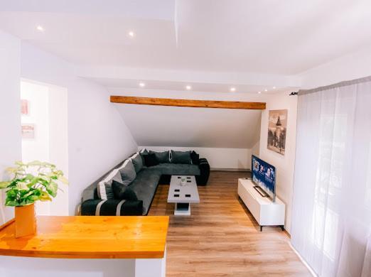 Apartman Aleksandar lux Palic Bagian luar foto