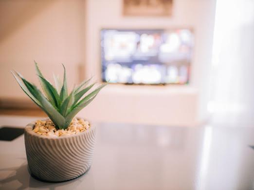 Apartman Aleksandar lux Palic Bagian luar foto
